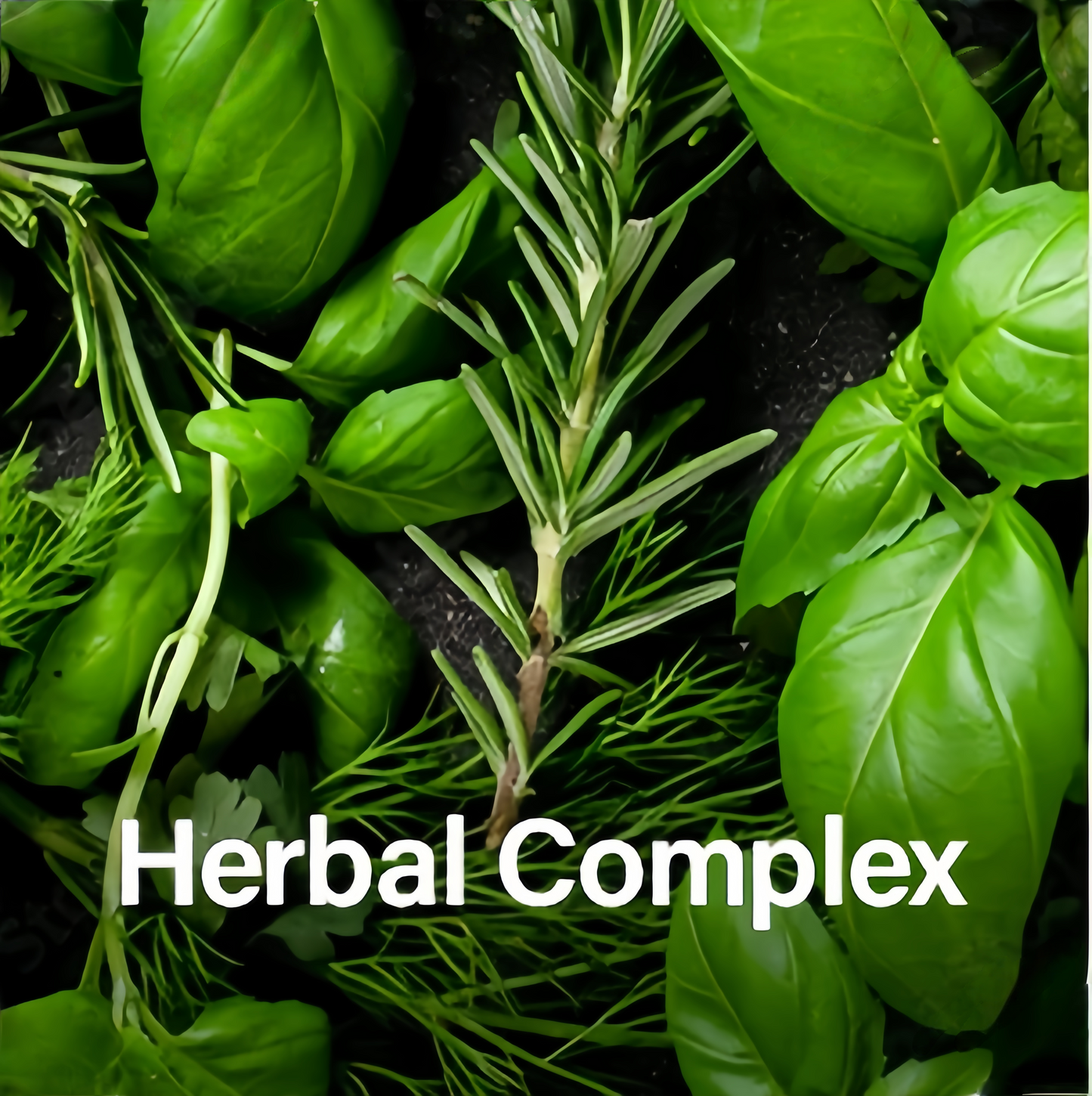 IMMUNO 150 Complete Multi – 150 capsules